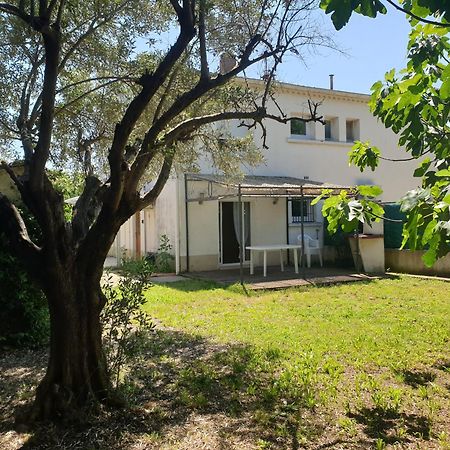 Orteils Au Soleil Jardin Parking Nimes Bagian luar foto